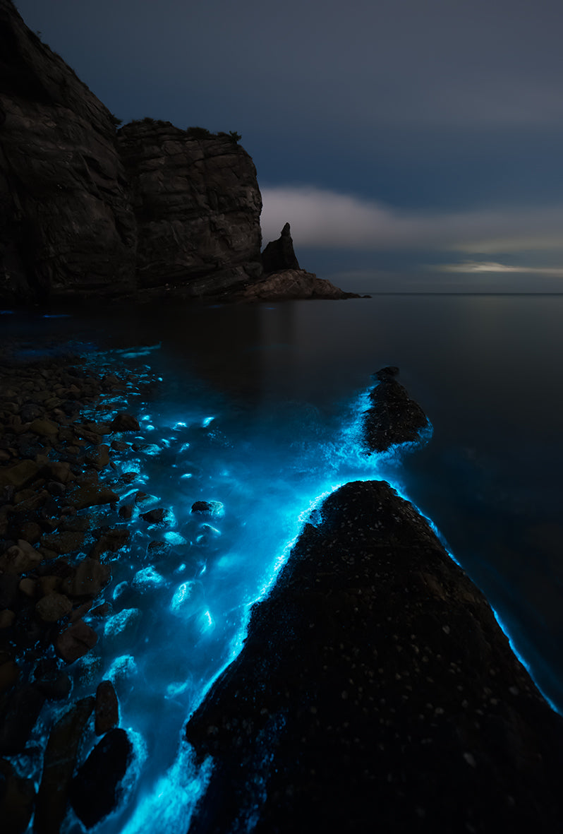 Fluorescent Sea Poster och Canvastavla