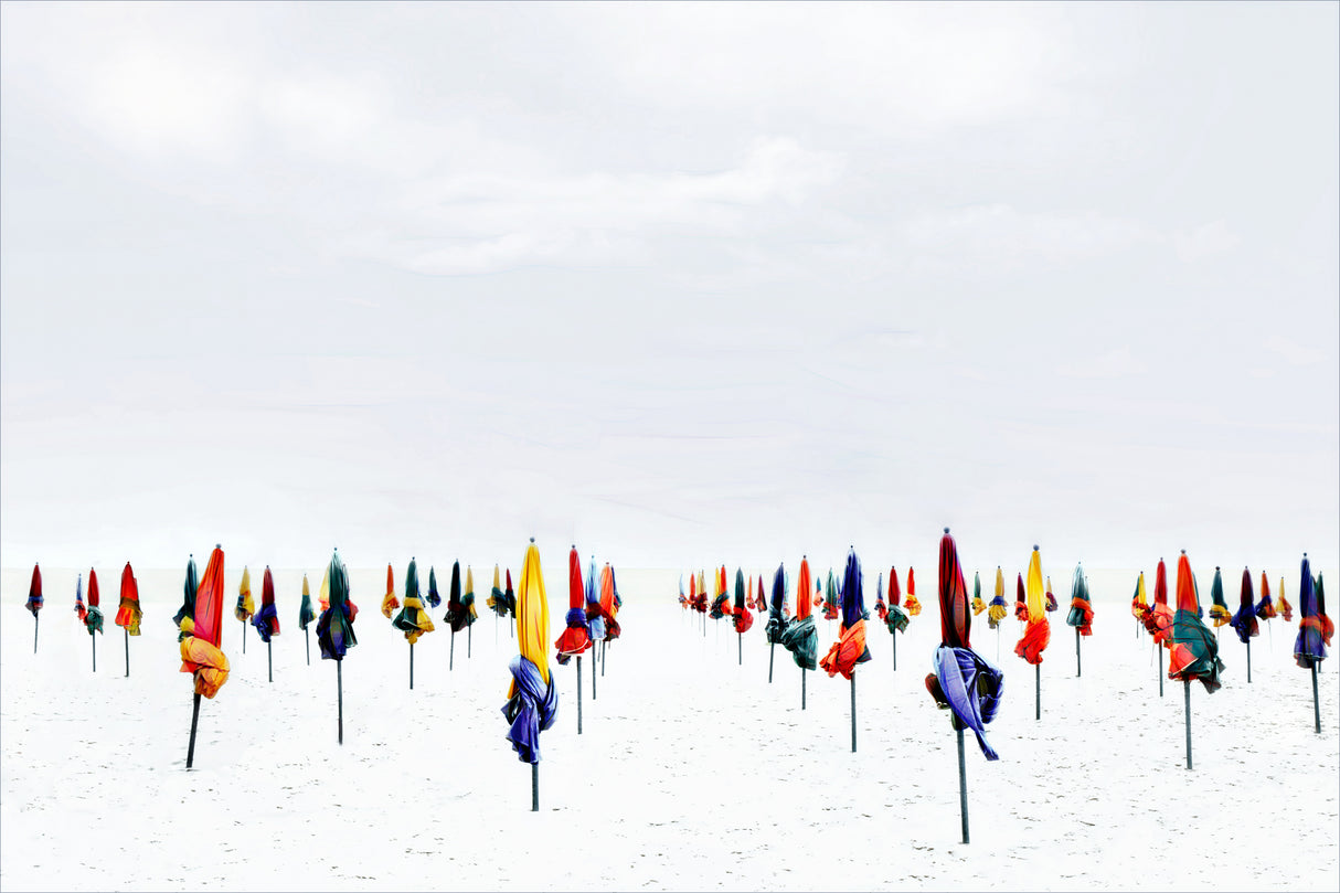 Disrupted climate... Poster och Canvastavla