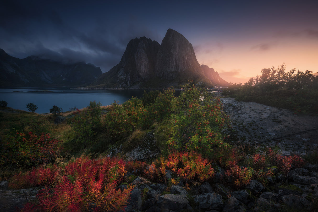 Autumn is Coming Poster och Canvastavla