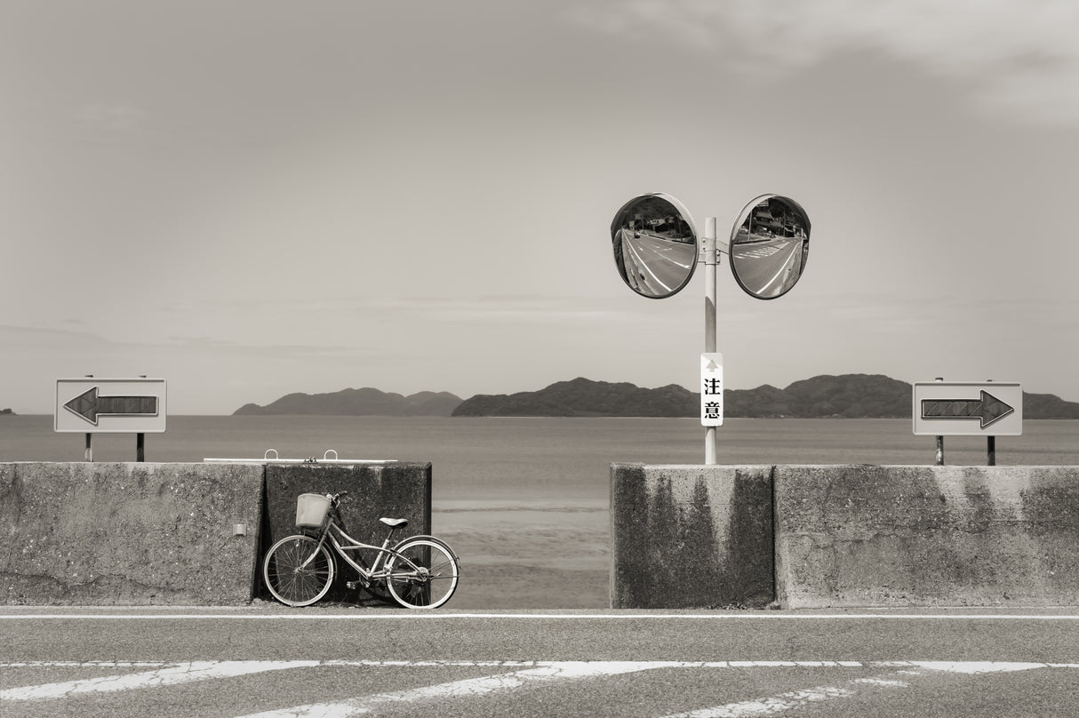 Seaside Objects_B&W Poster och Canvastavla