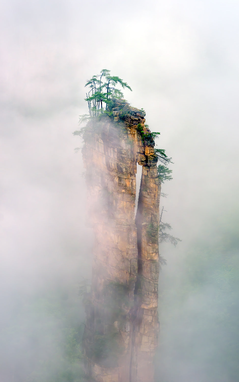 Zhangjiajie 2 Poster och Canvastavla
