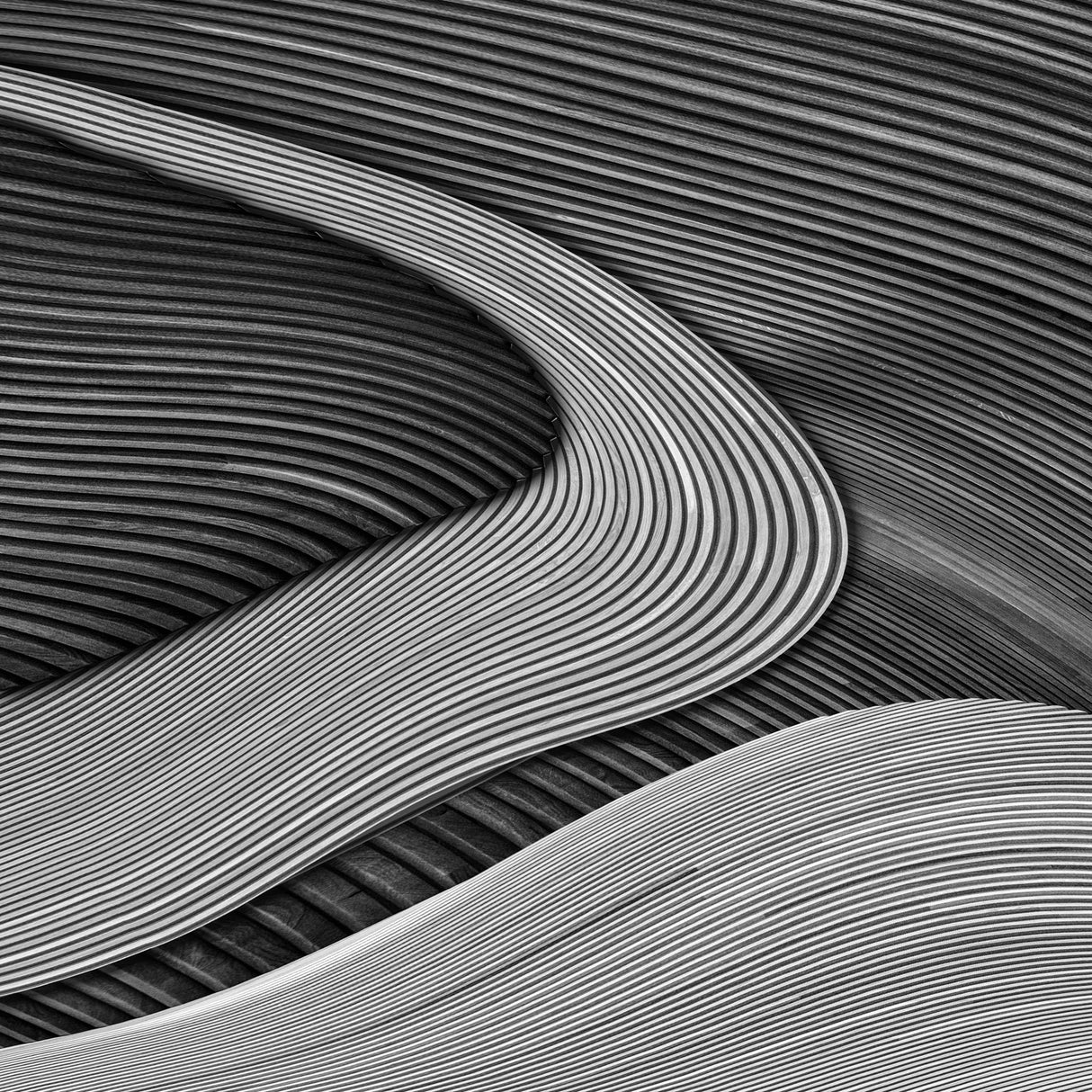 The wood project III - Zen garden Poster och Canvastavla