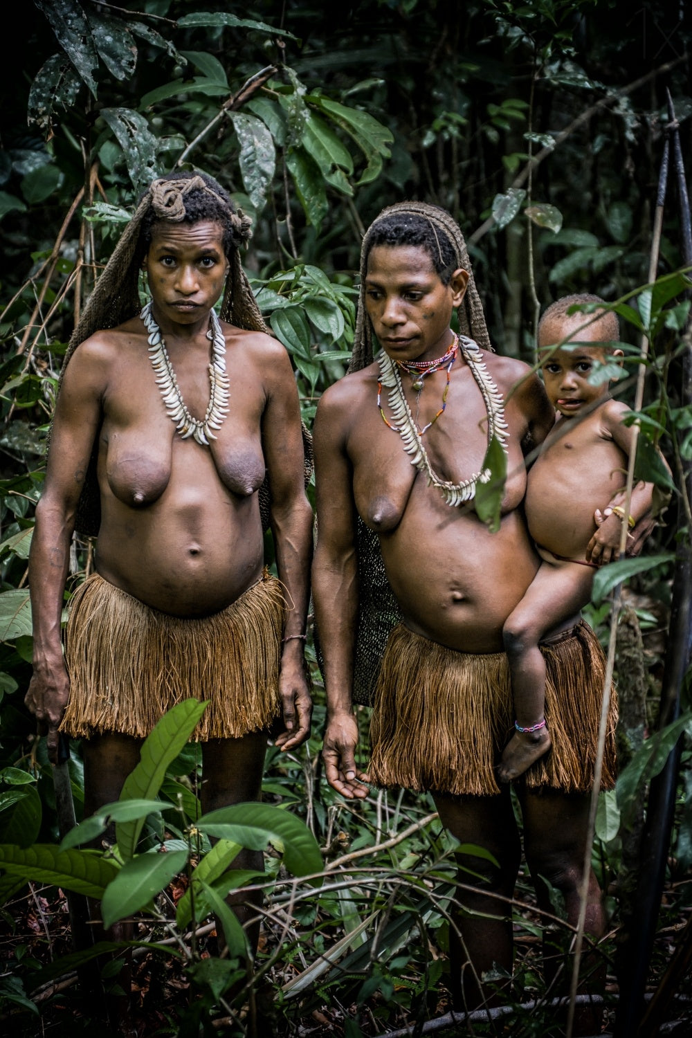 korowai: life of the tree people #1 Poster och Canvastavla