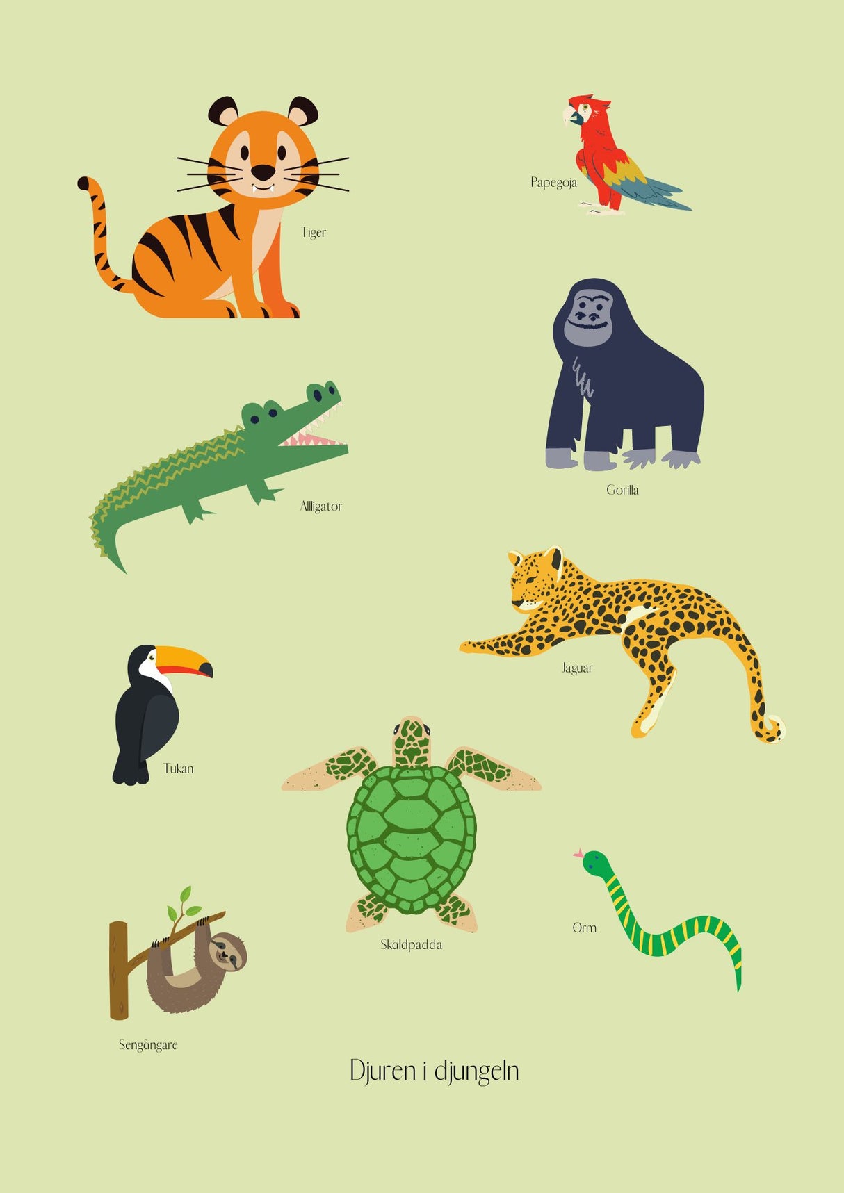 Djuren i djungeln - No.1 Kunskapsbarnposter