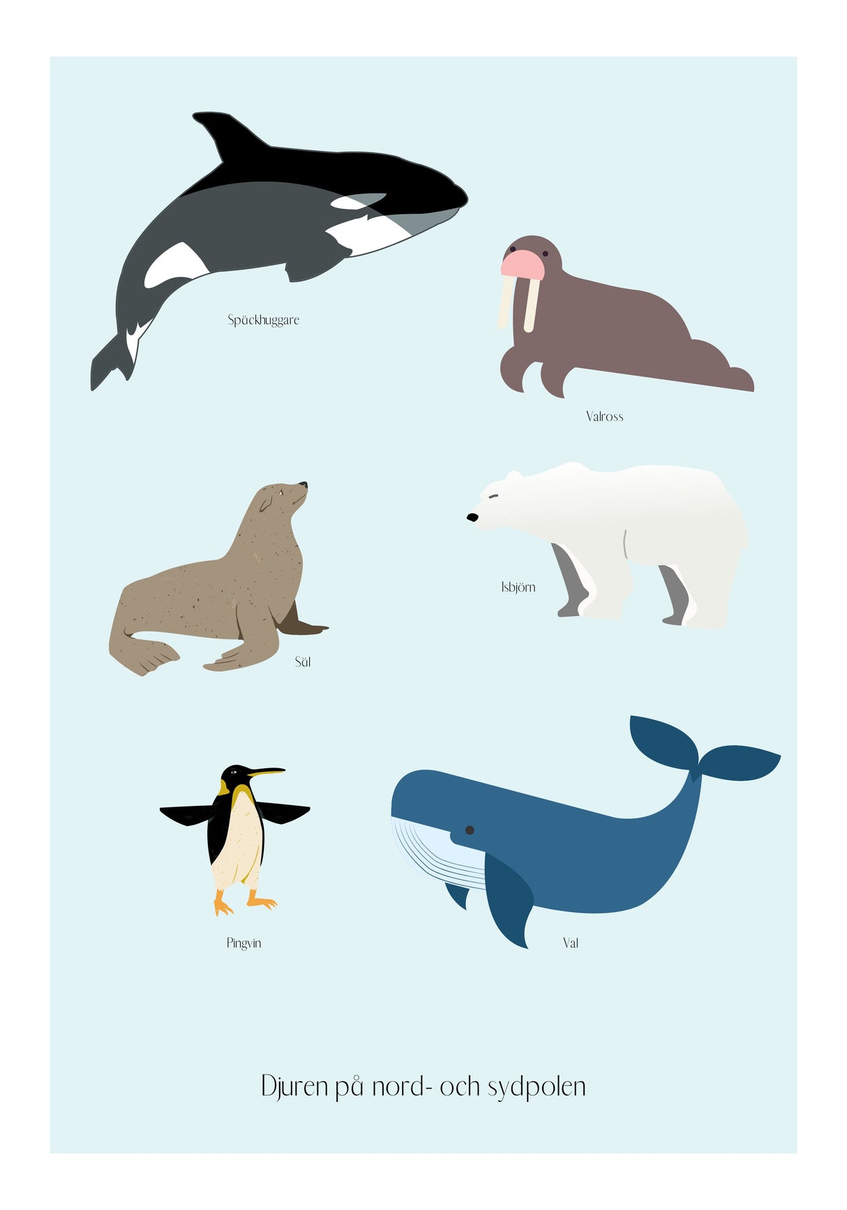 Djuren på nord- och sydpolen Kunskapsbarnposter