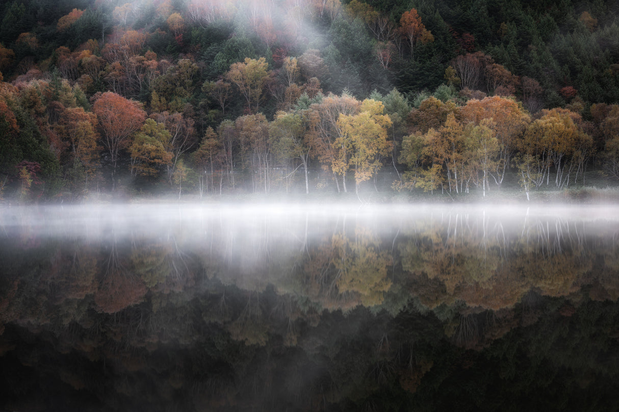 The mystical pond in the autumn 3 Poster och Canvastavla