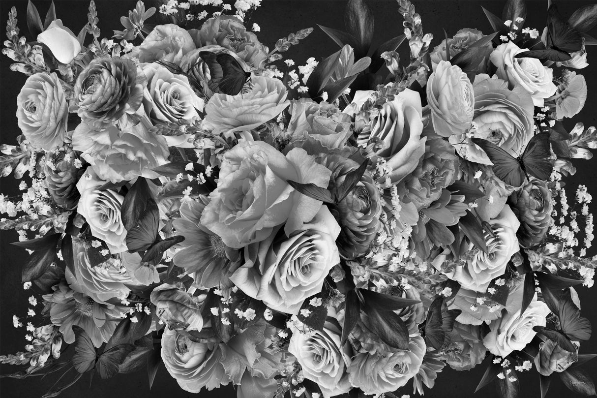 Sweet Carolyne Black & White Poster och Canvastavla