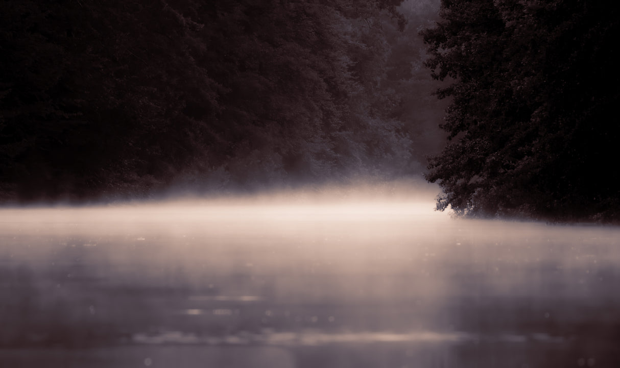 Fog Poster och Canvastavla