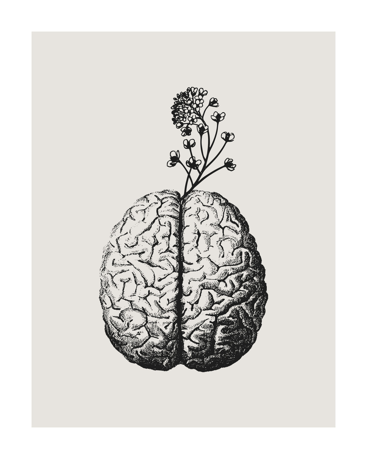 Brain Bloom Poster och Canvastavla