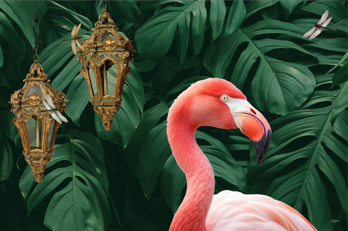 Flamingo & Dragonflies Poster och Canvastavla