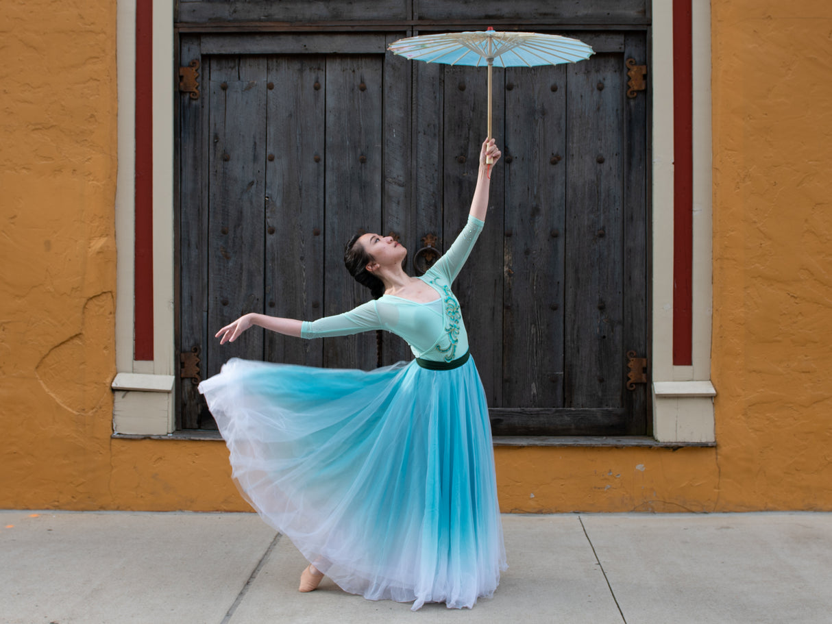 Dance with Umbrella Poster och Canvastavla