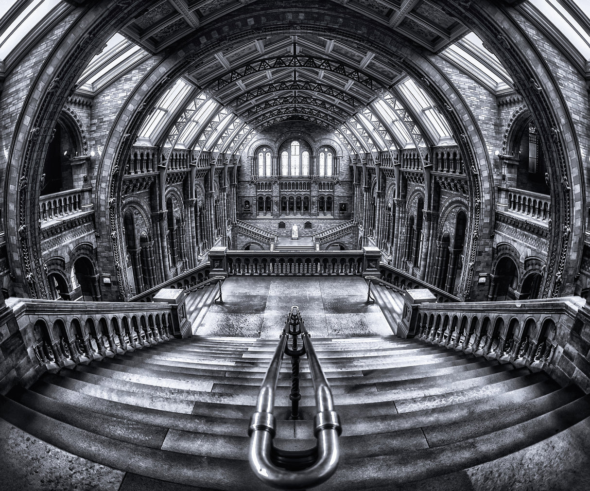 Harry Potter meets Escher and Darwin. Poster och Canvastavla