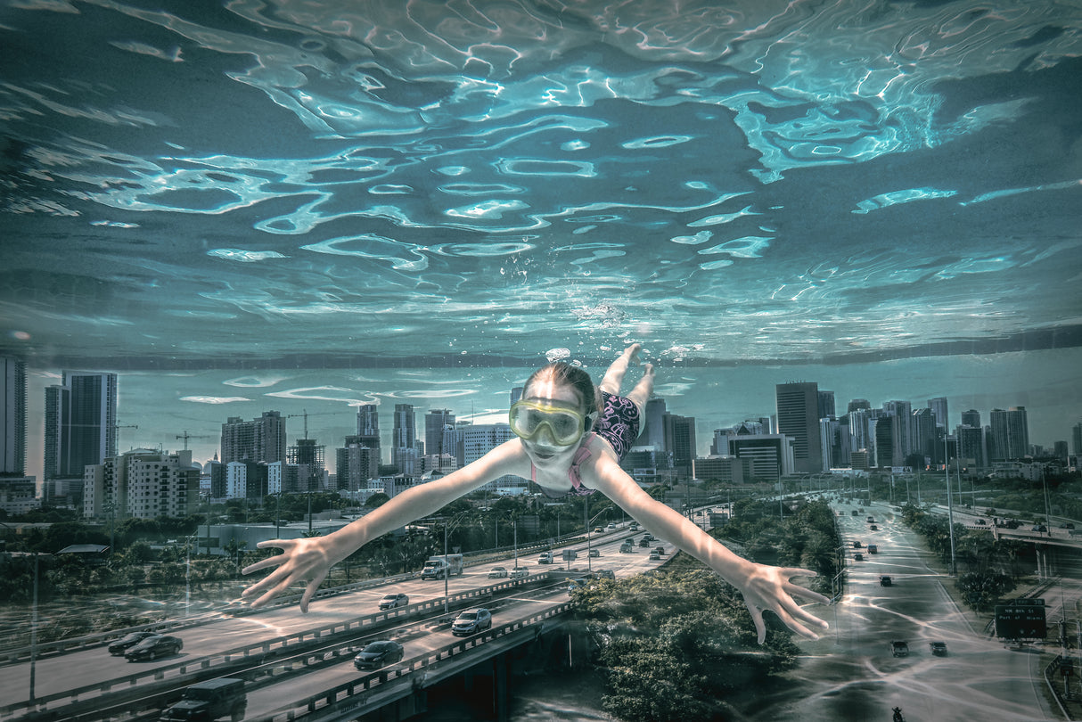 Miami city diver Poster och Canvastavla