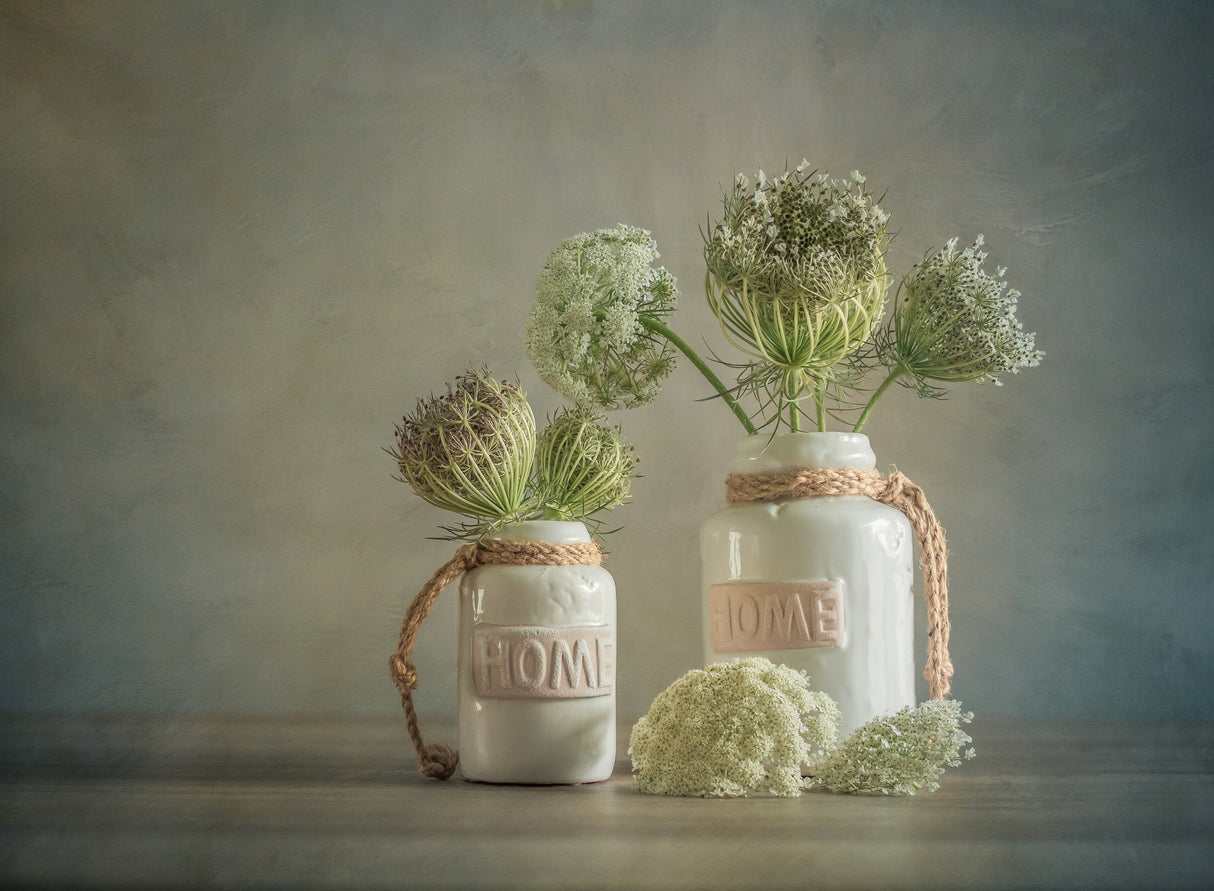 Wild Carrot Poster och Canvastavla