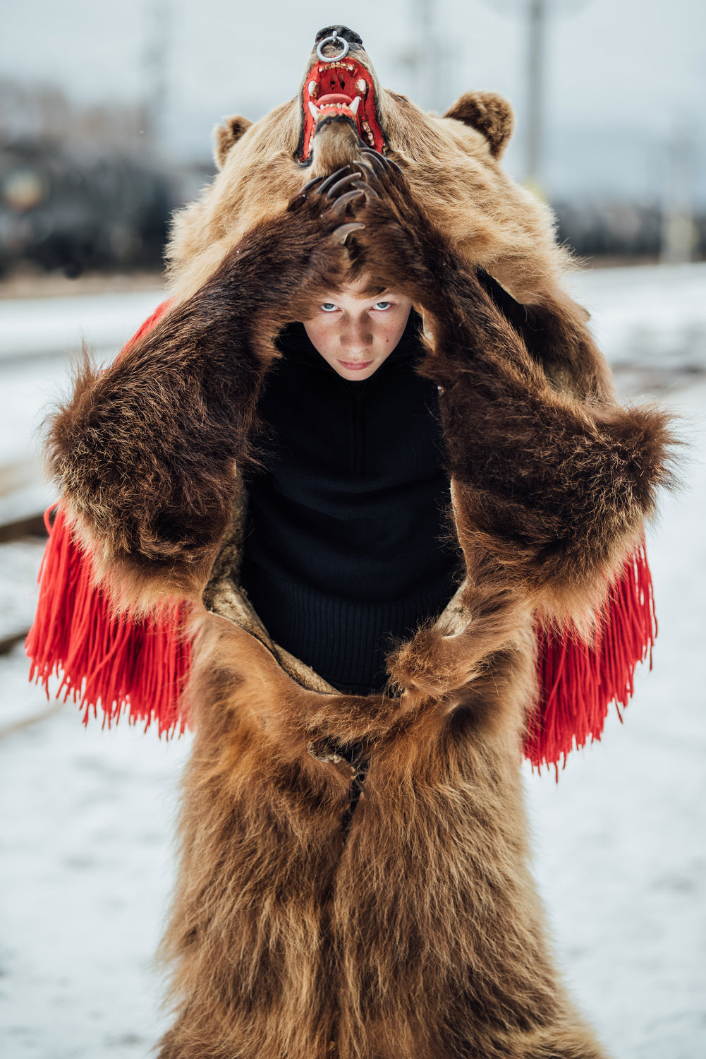 Human-bear Poster och Canvastavla