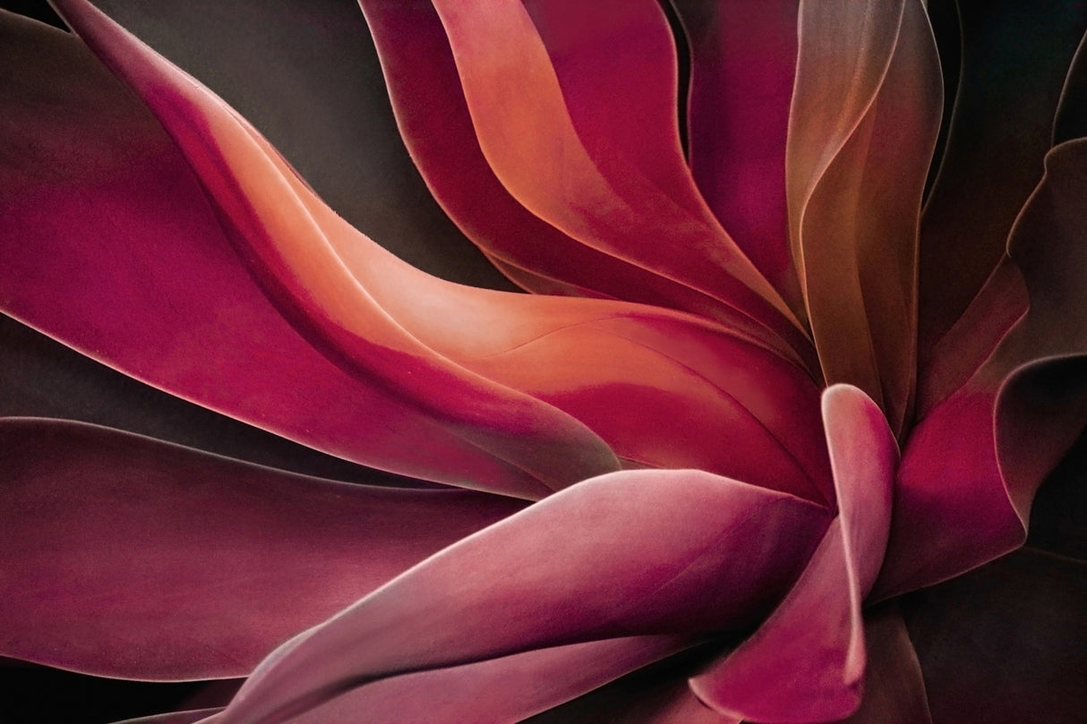 Leaves like velvet Poster och Canvastavla