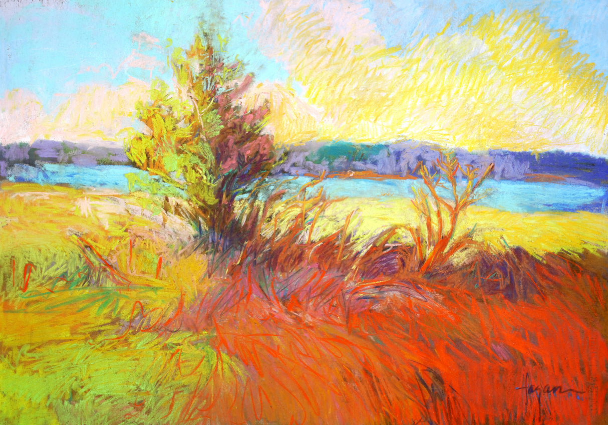 Df372 Goldenday Poster och Canvastavla