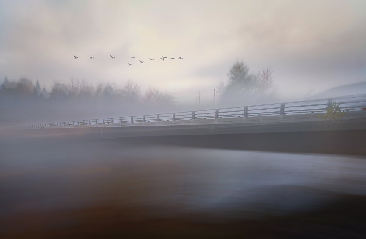 The Bridge Poster och Canvastavla