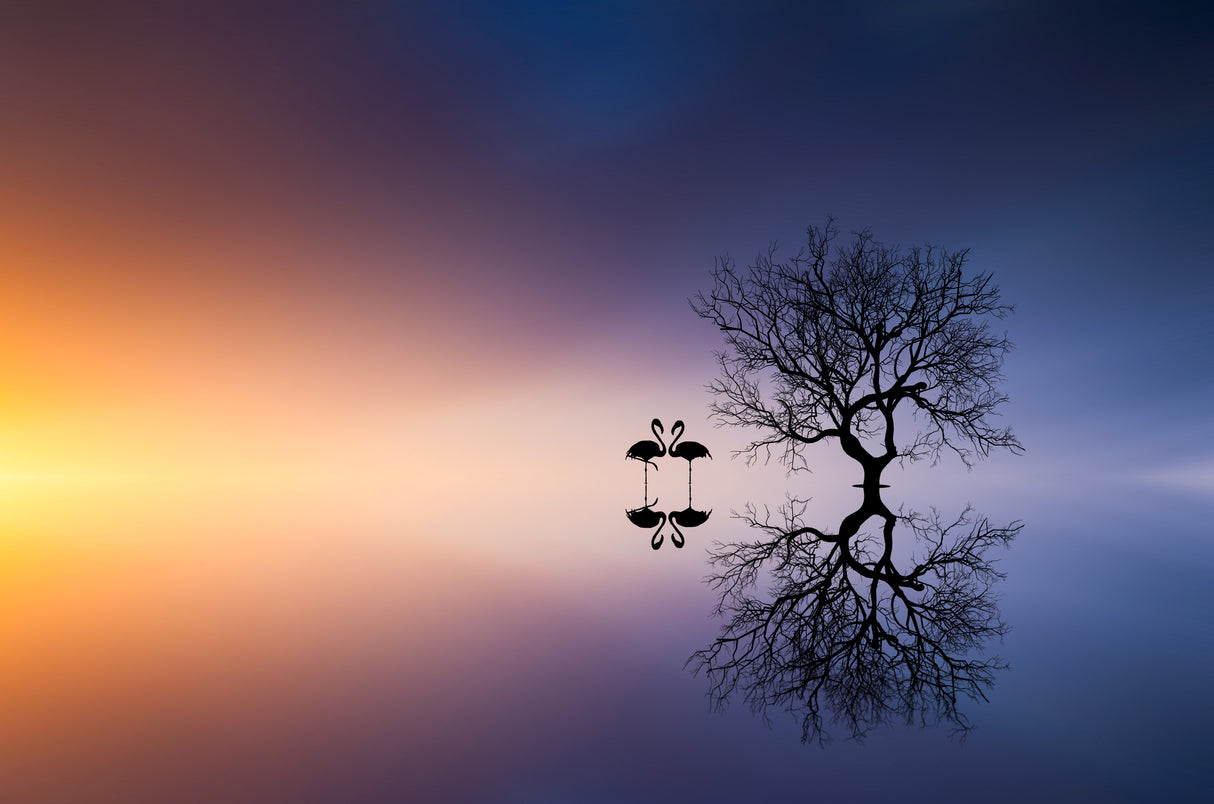 Flamingos in a lake with a tree Poster och Canvastavla