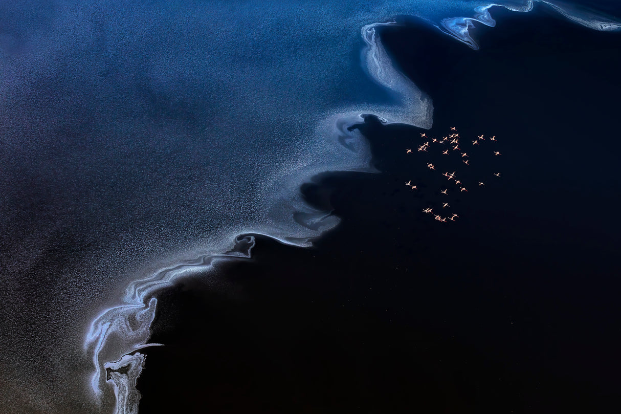 Flying over the Salt Lake Poster och Canvastavla