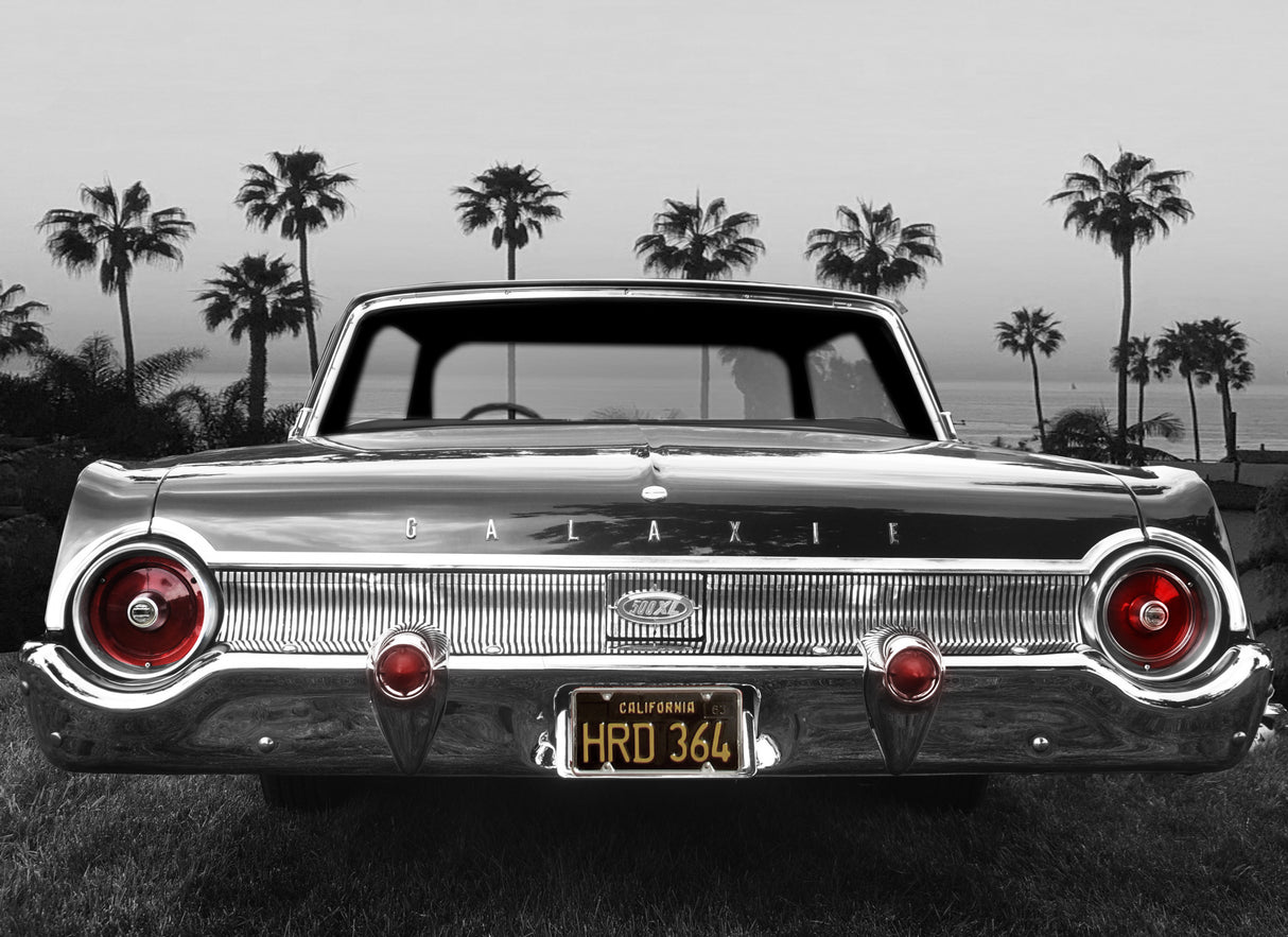 Ford Galaxie 500XL Poster och Canvastavla