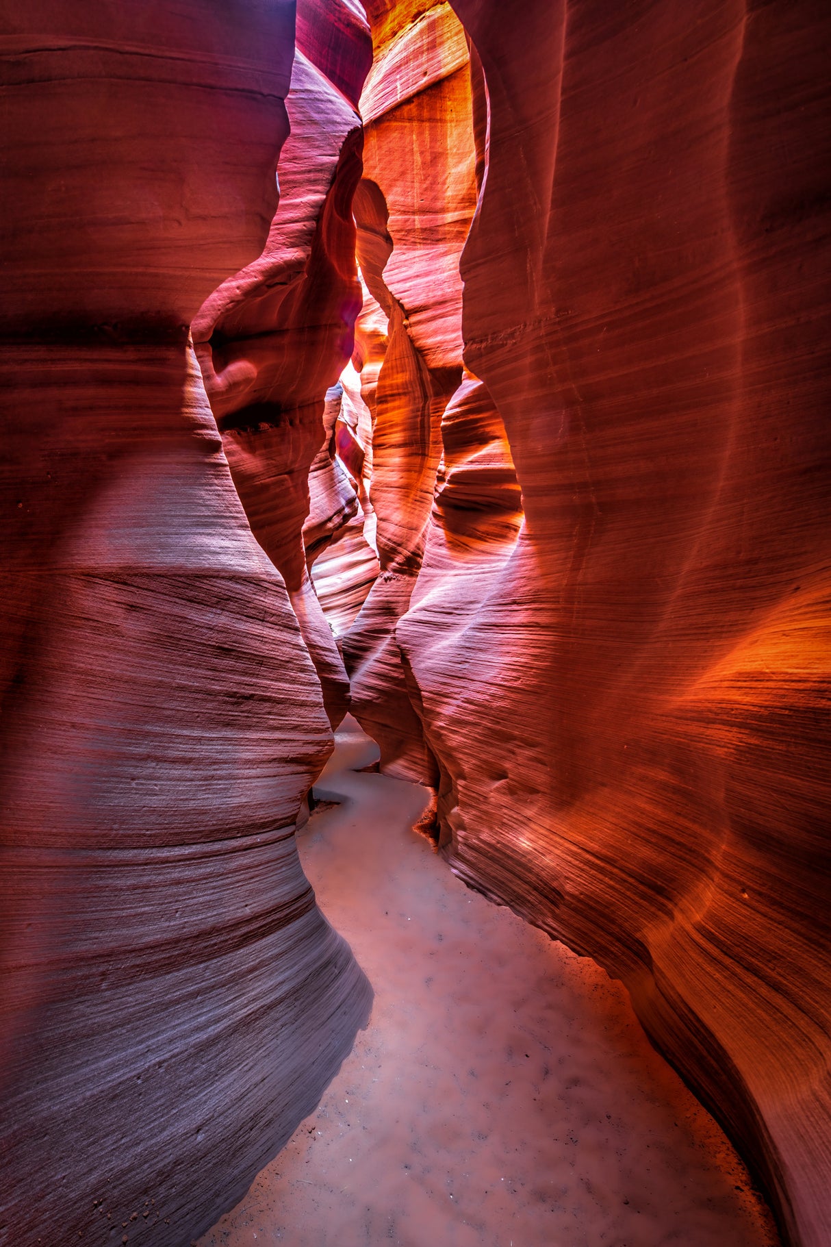 The curves and colors of nature Poster och Canvastavla