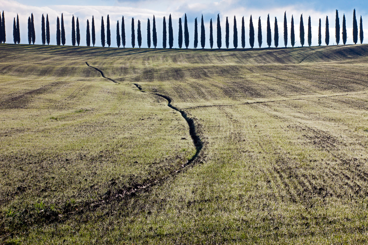 Beyond The Ditch Poster och Canvastavla