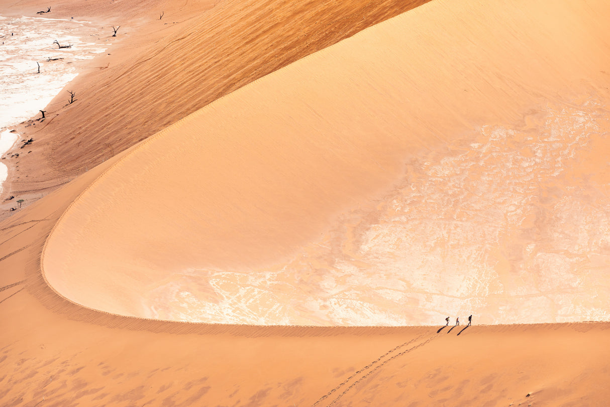Lost souls in the sand dune Poster och Canvastavla