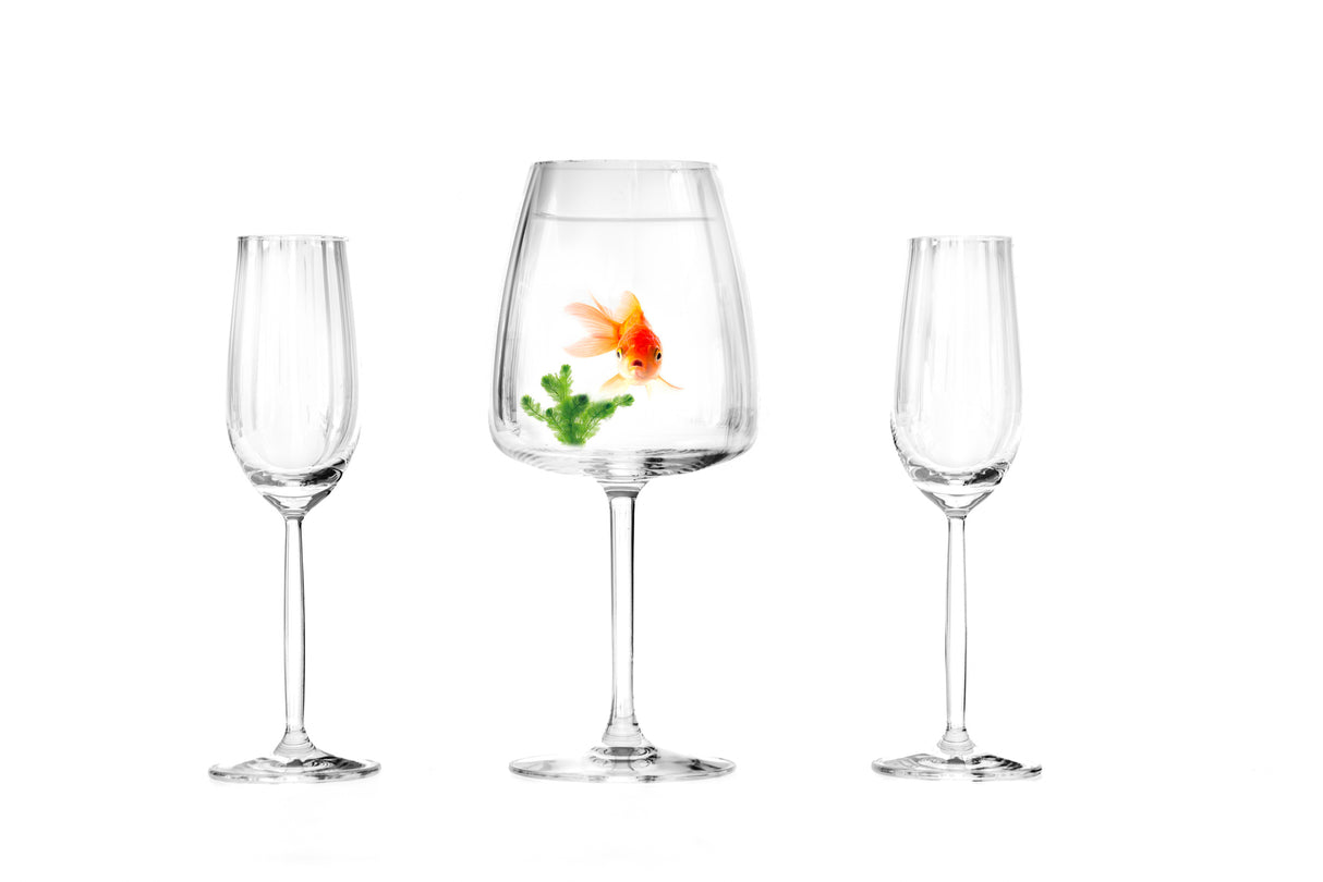 Wrong fishbowl....... Poster och Canvastavla
