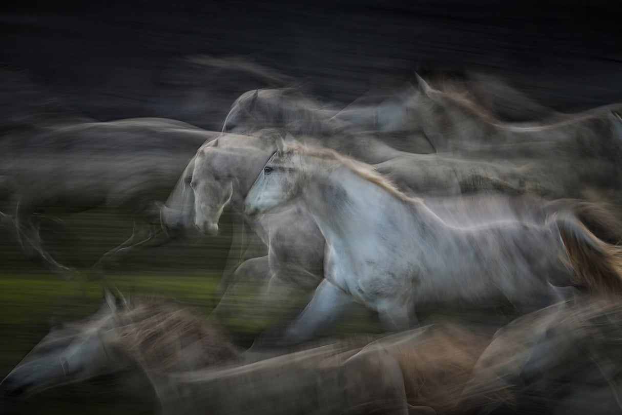 in rush Poster och Canvastavla