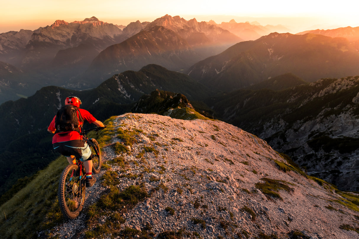Riding ridge singletrack Poster och Canvastavla