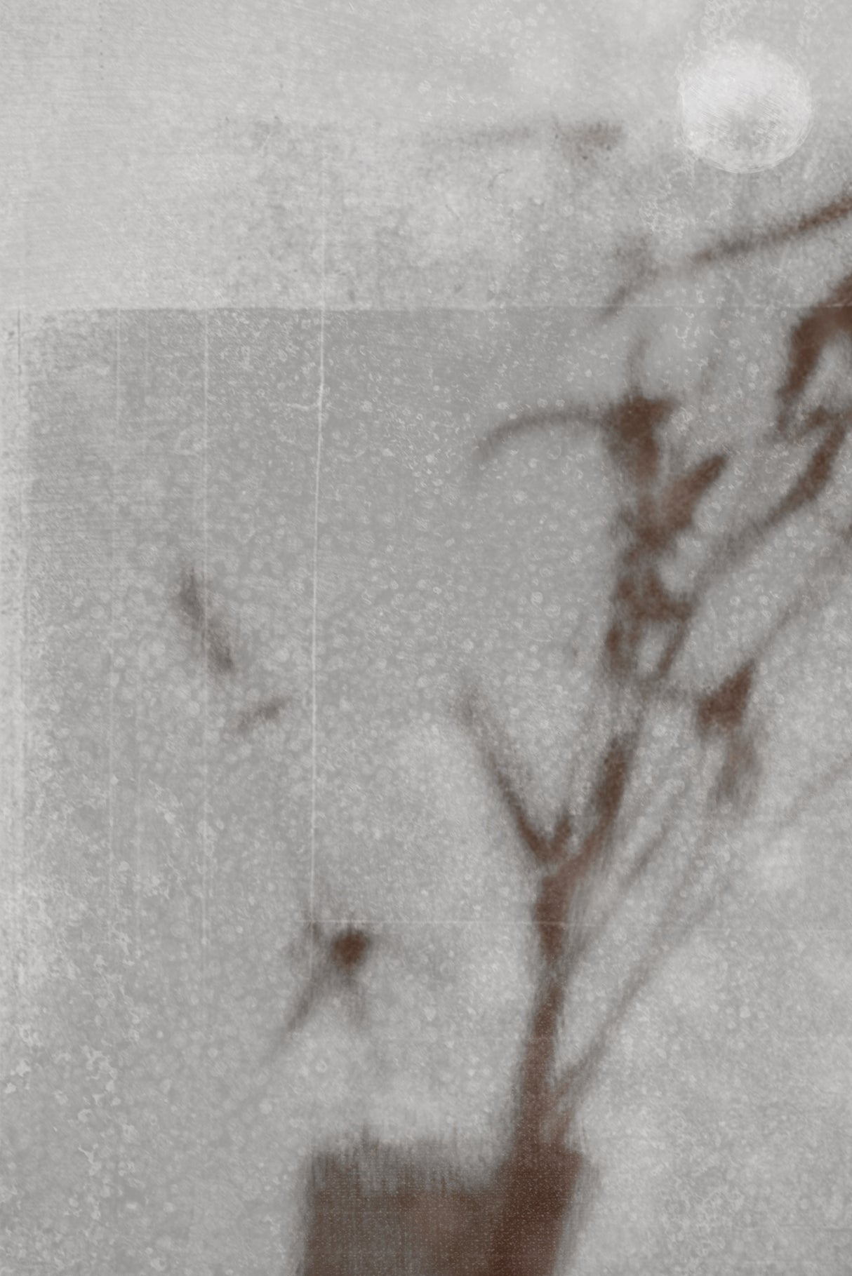 Botanical silhouette Poster och Canvastavla