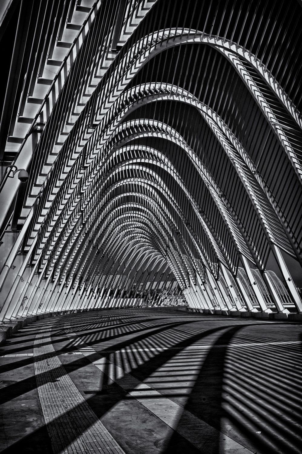 Calatrava Constraction #03 Poster och Canvastavla