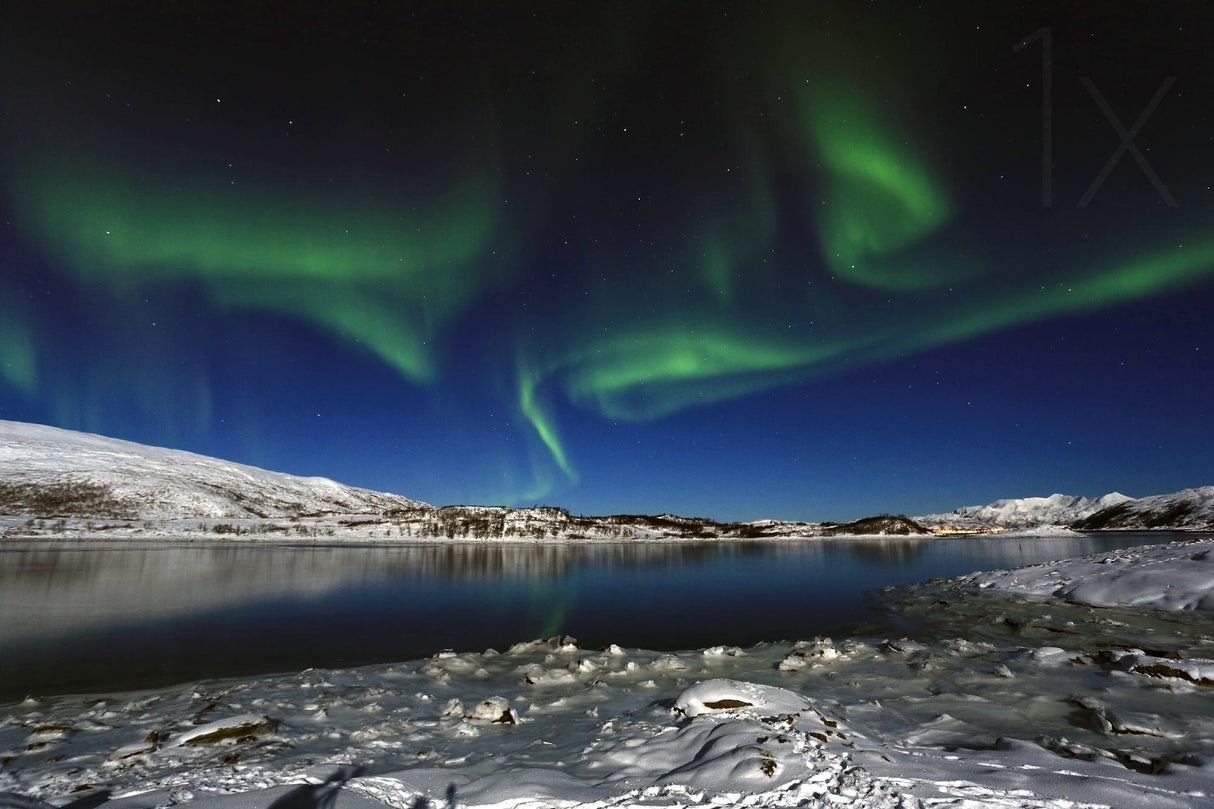 Northern light at Scarsfjord Poster och Canvastavla
