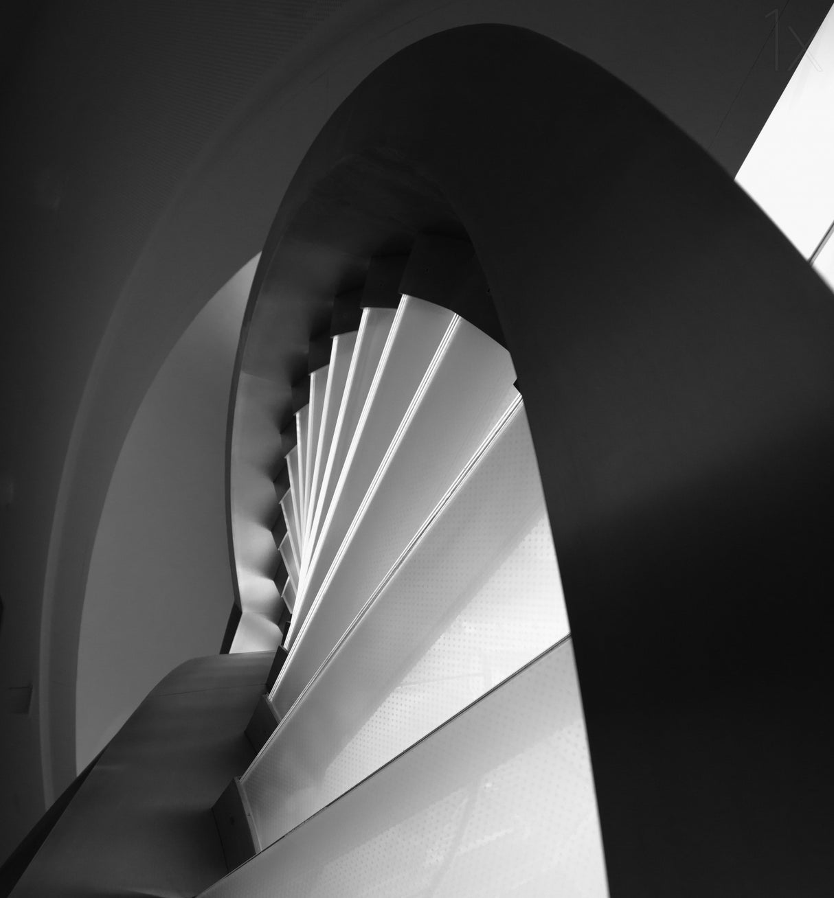 Straight and curves lines Poster och Canvastavla