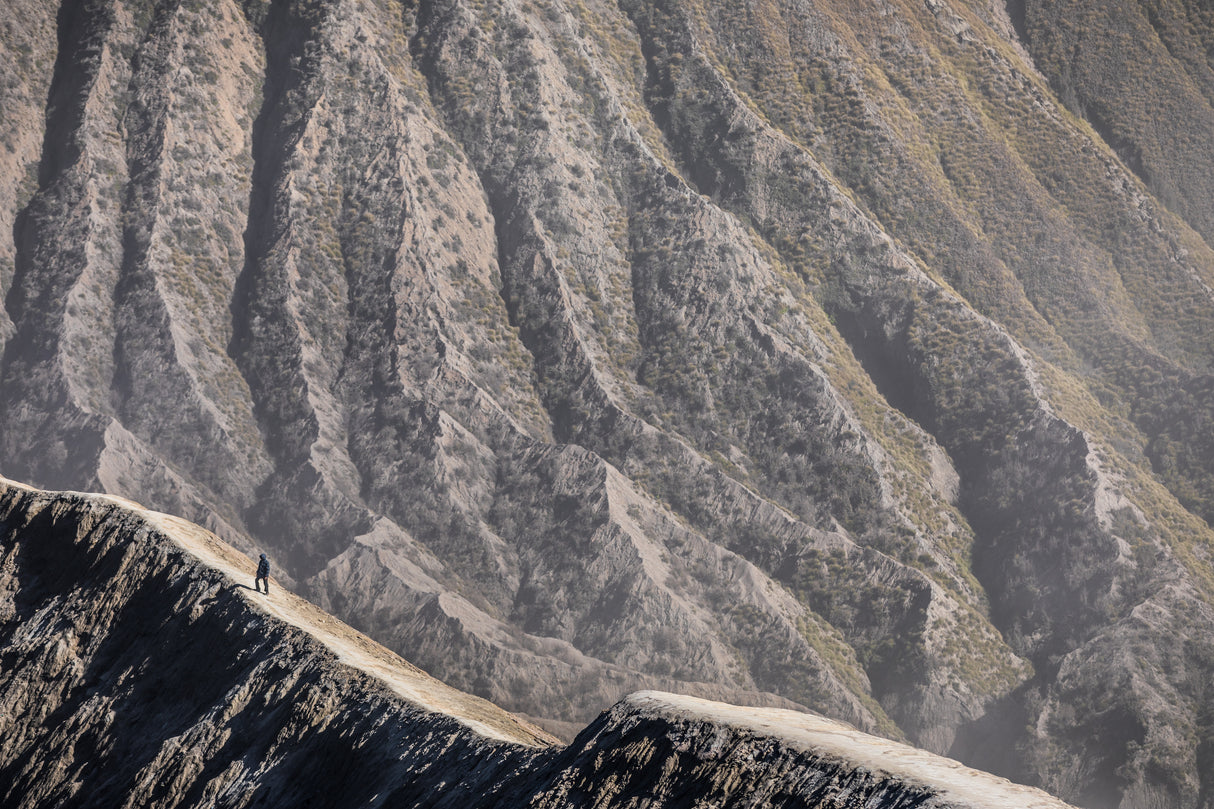 Alone in the rim Poster och Canvastavla