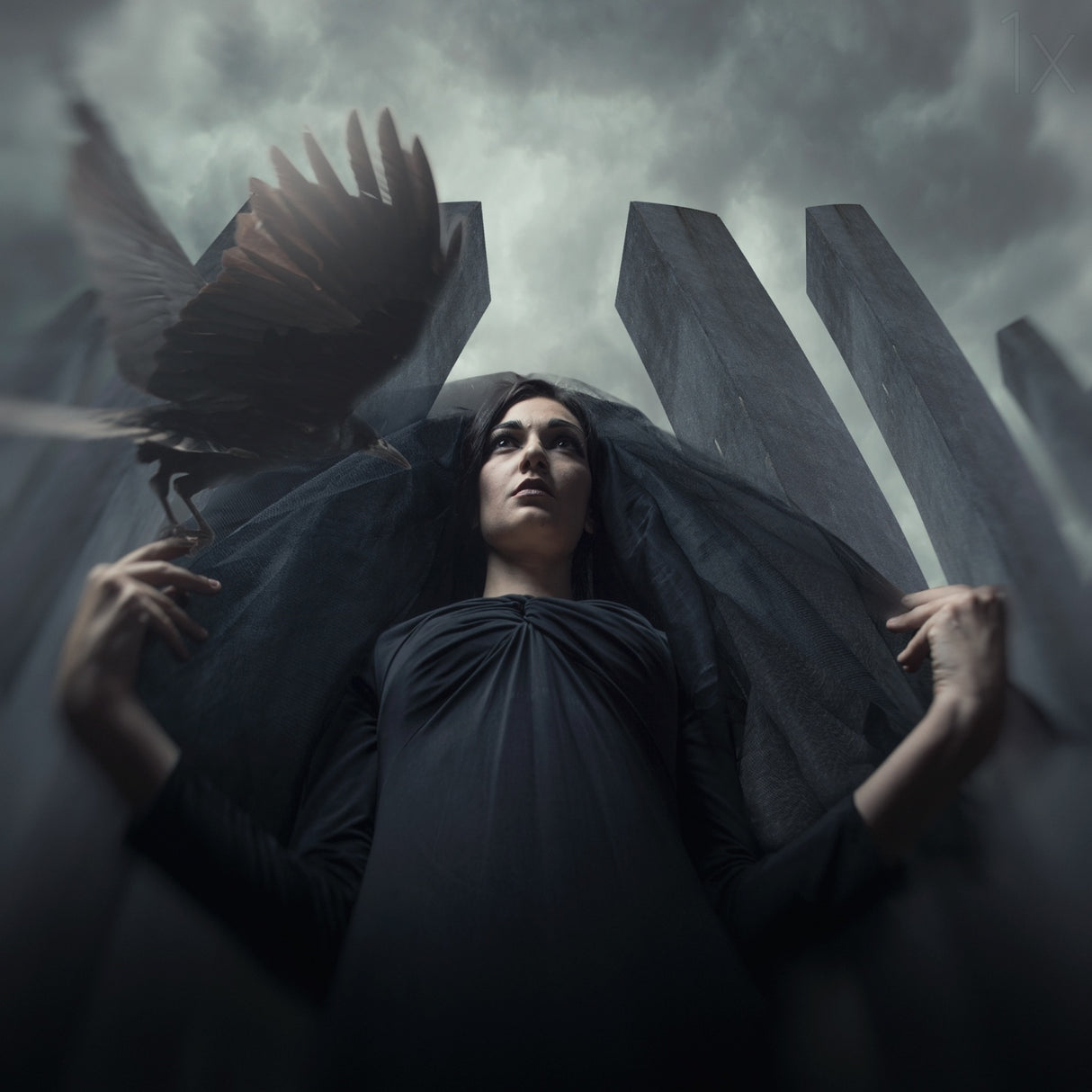 Rise of the Witch Poster och Canvastavla
