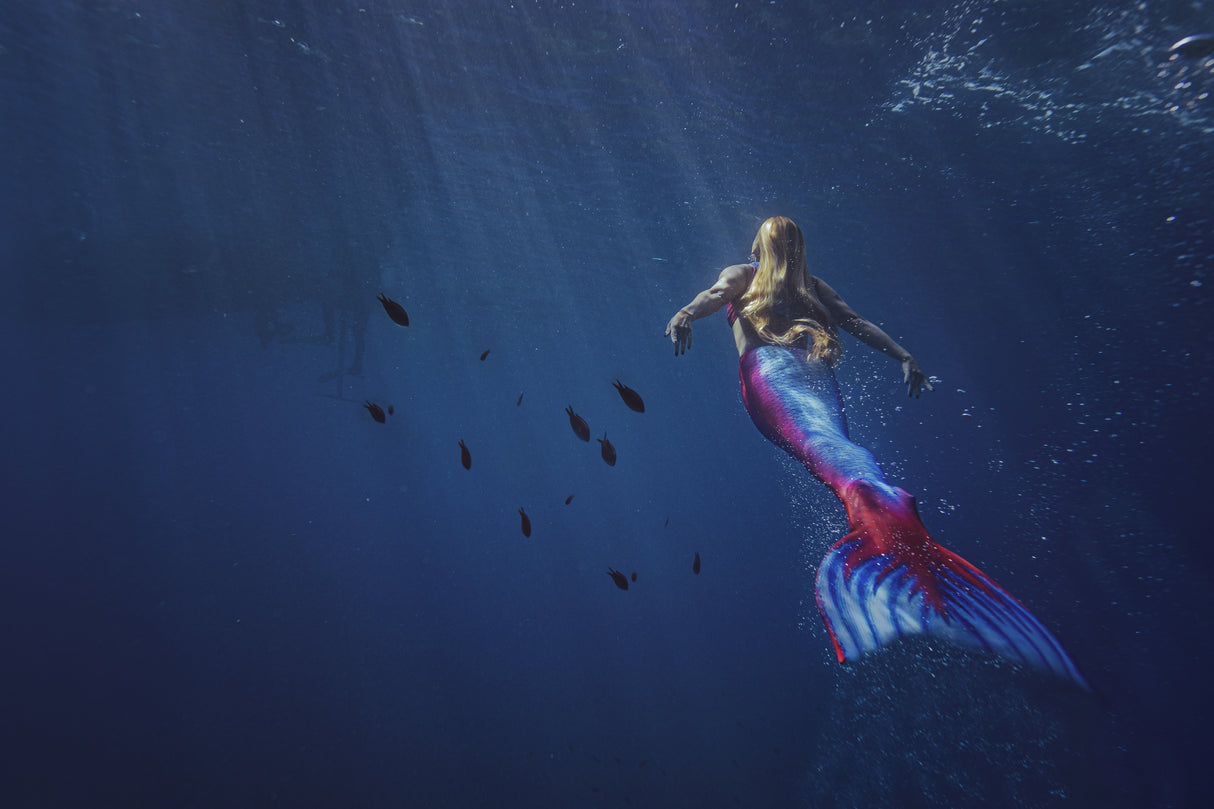 Mermaid Poster och Canvastavla