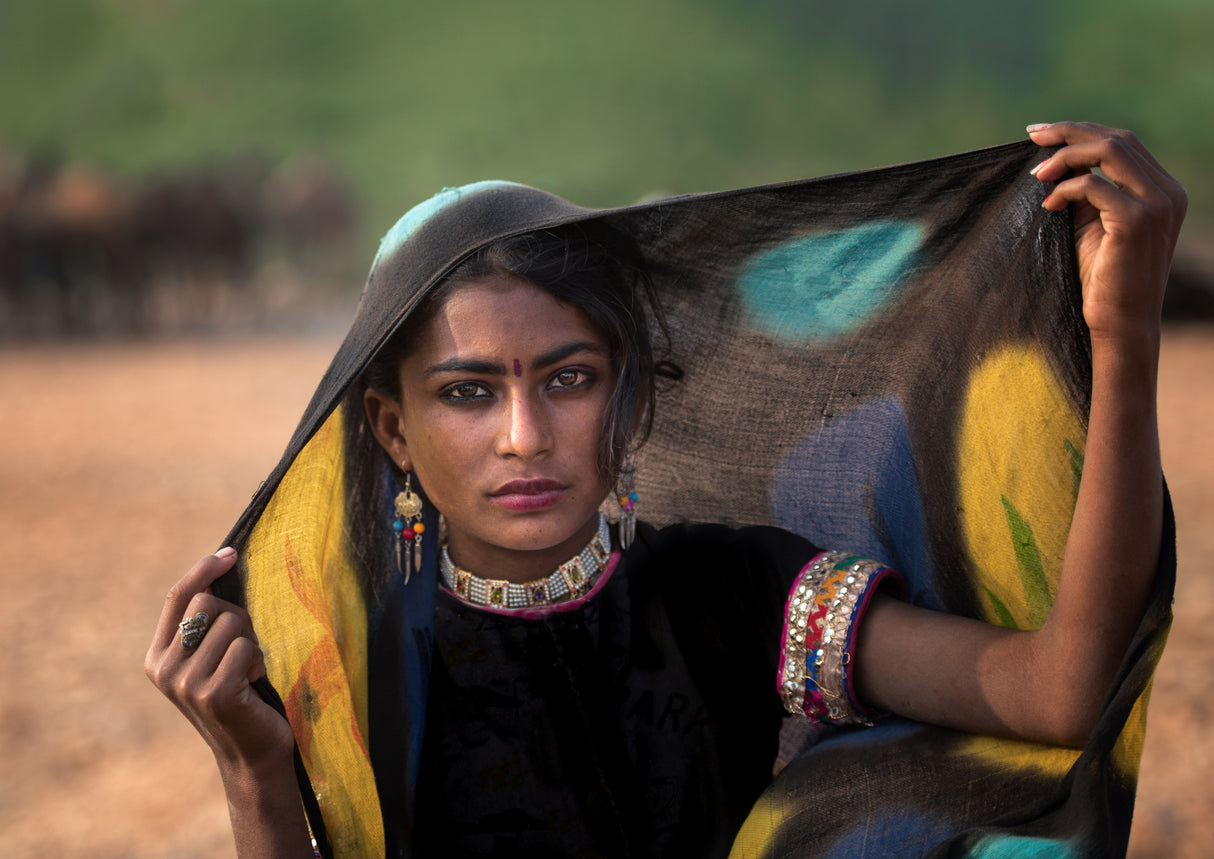 Girl with veil Poster och Canvastavla