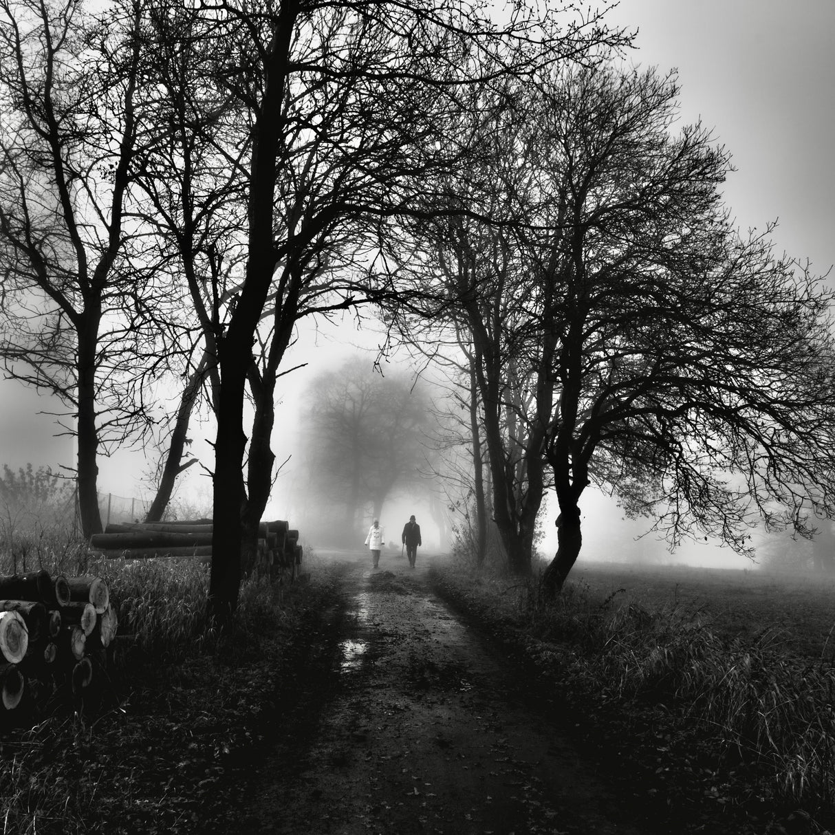 Dark morning Poster och Canvastavla