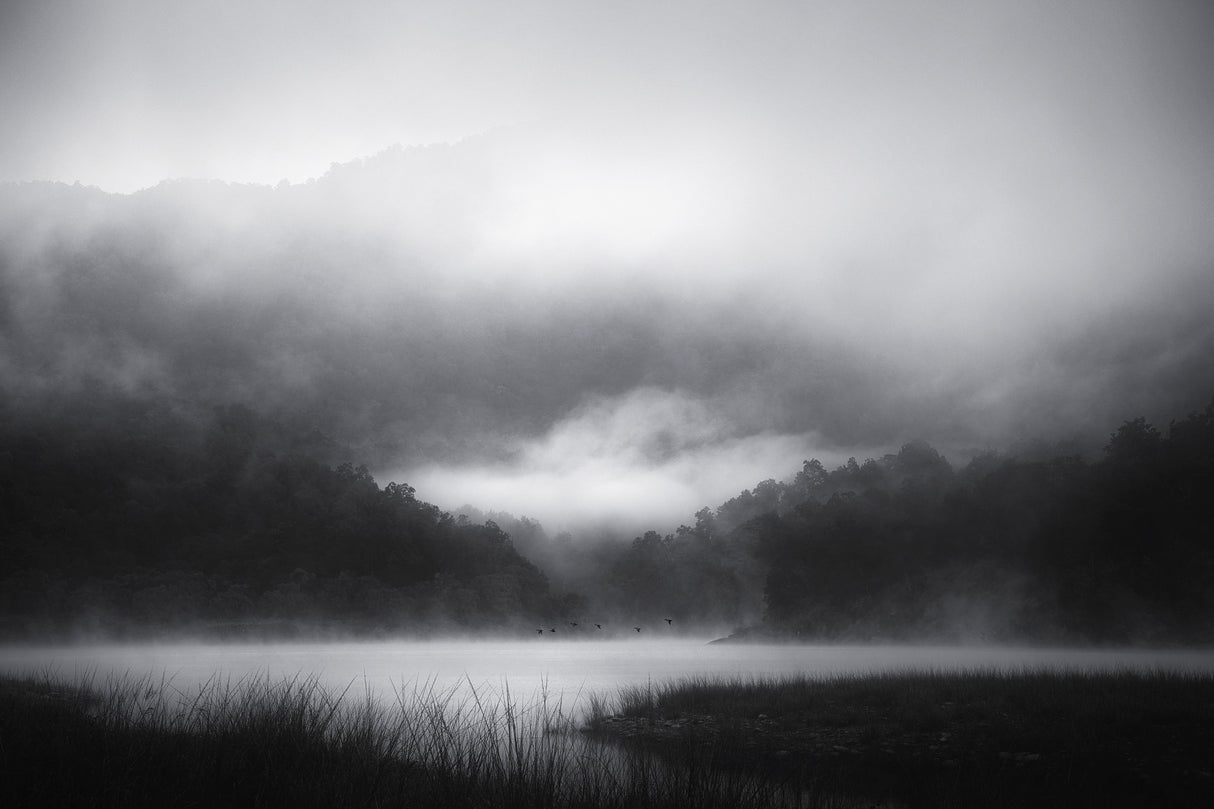 escapes Poster och Canvastavla