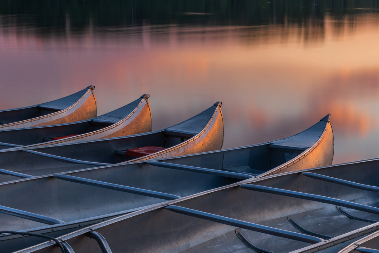Warm Summer afternoon Poster och Canvastavla