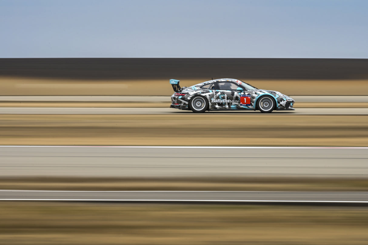 1/8 panning Poster och Canvastavla
