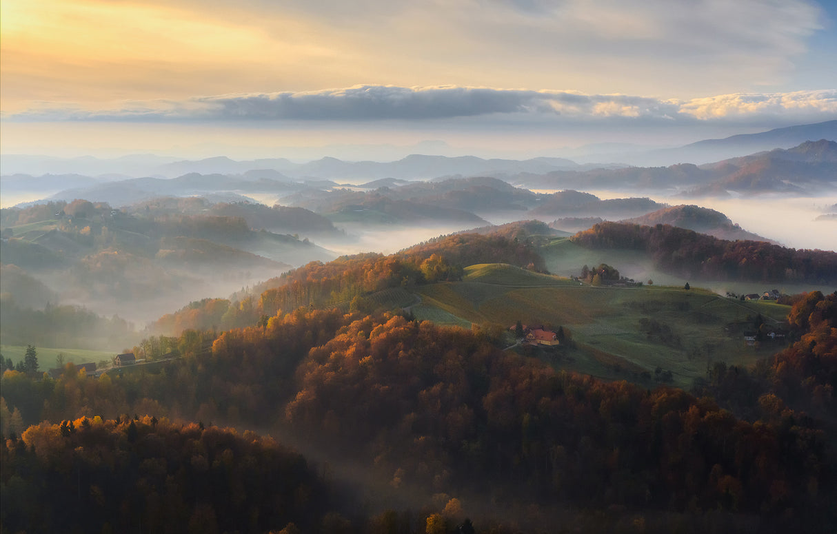 Autumn morning Poster och Canvastavla