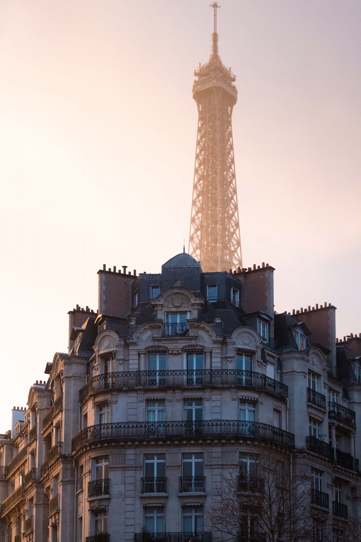 The peeking Eiffel Poster och Canvastavla