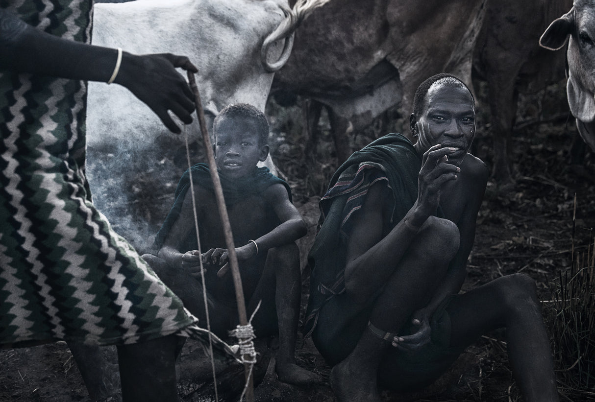 Surma tribe people taking care of their herd of cows - Ethiopia Poster och Canvastavla
