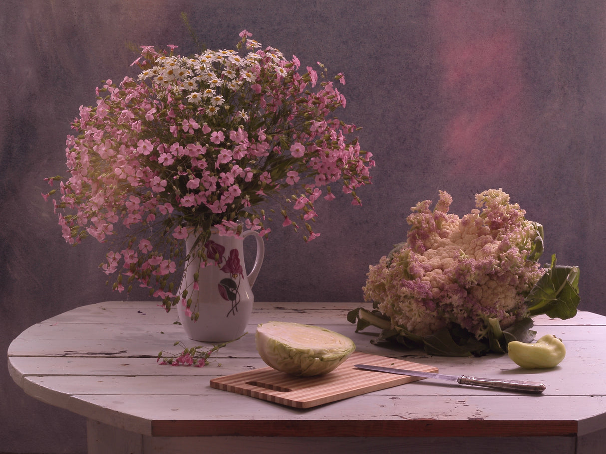 StillLife in pink color Poster och Canvastavla