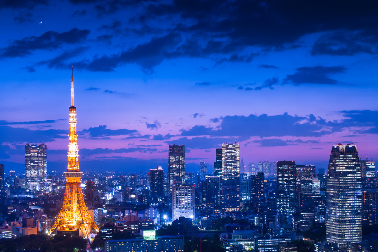 Tokyo night view Poster och Canvastavla