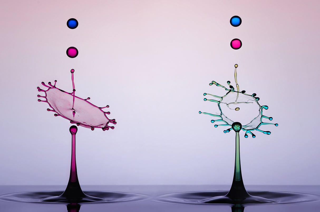 Two Color Water Drops Poster och Canvastavla