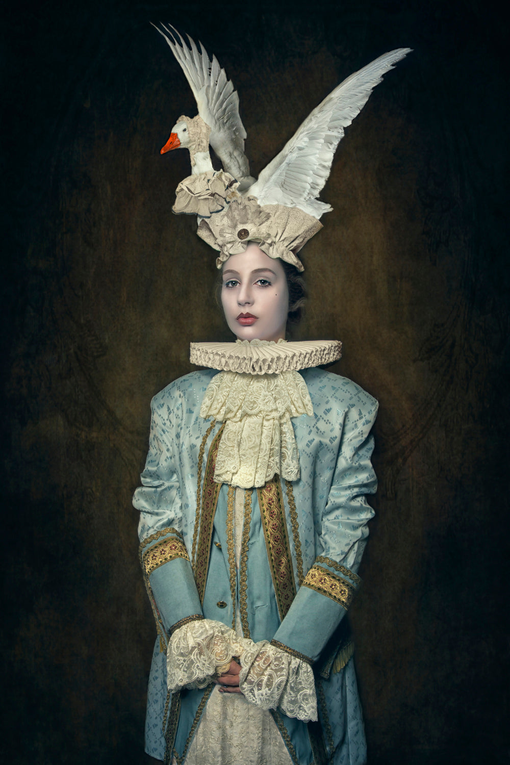 My swan hat Poster och Canvastavla